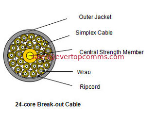China 24-core Break-out Cable supplier