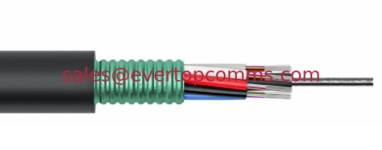 GYTS 24 Core Outdoor Fiber Optic Cable SM G652D  Steel Tape Armored PE  Burial/aerial/duct Laying supplier