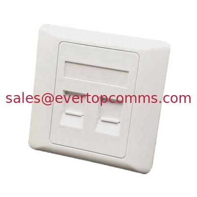 86 Type 86*86mm RJ45 Single and Dual Port Face Plate Wall Plate for Network supplier