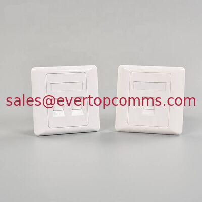 86 Type 86*86mm RJ45 Single and Dual Port Face Plate Wall Plate for Network supplier