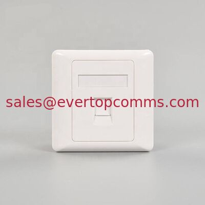 86 Type 86*86mm RJ45 Single and Dual Port Face Plate Wall Plate for Network supplier
